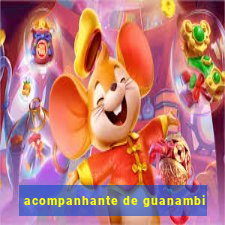 acompanhante de guanambi